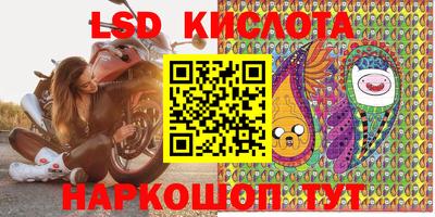 гашик Будённовск